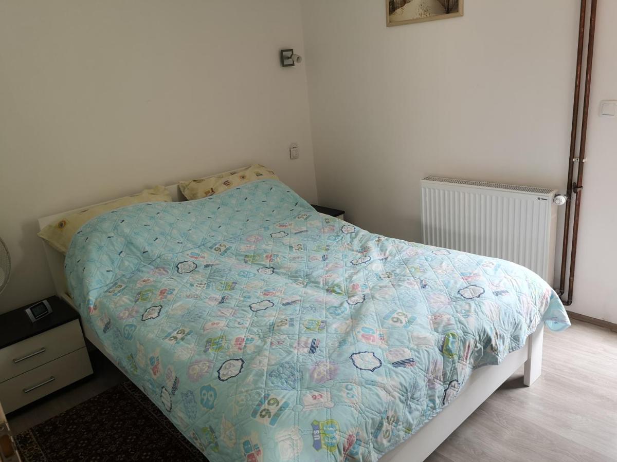 Apartmani Zubor Banja Koviljača 外观 照片