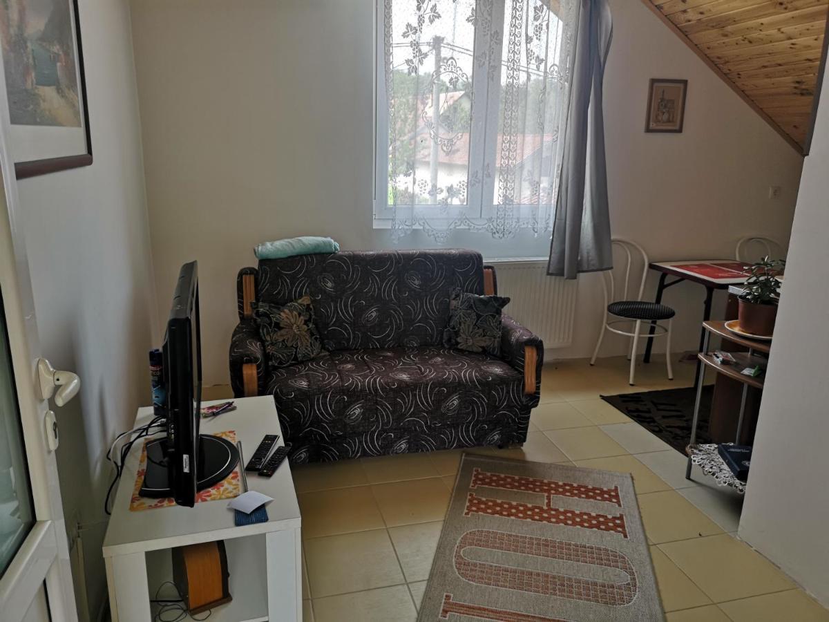 Apartmani Zubor Banja Koviljača 外观 照片